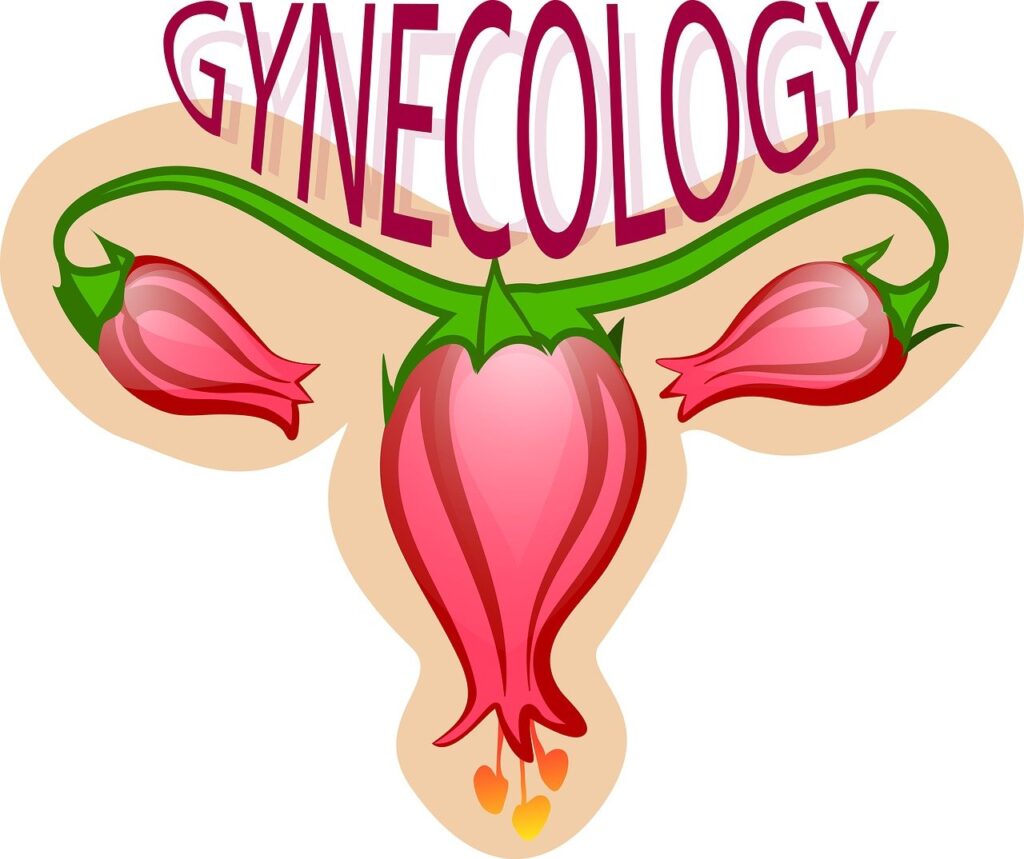 gynecology, flower, uterus-2533145.jpg