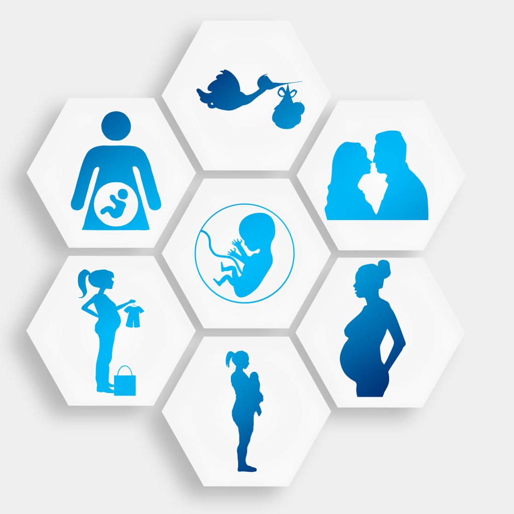 pregnancy, pregnant, stork-1749858.jpg